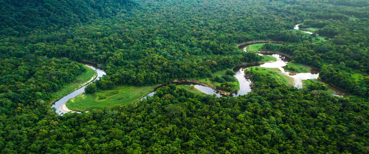 slider nature