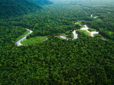 Naturally Sustainable