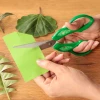 Lightweight Biomorph scissors for easy handling and creative use
